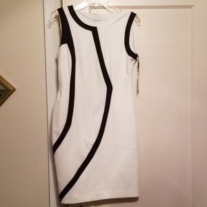 Calvin Klein Sheath Dress